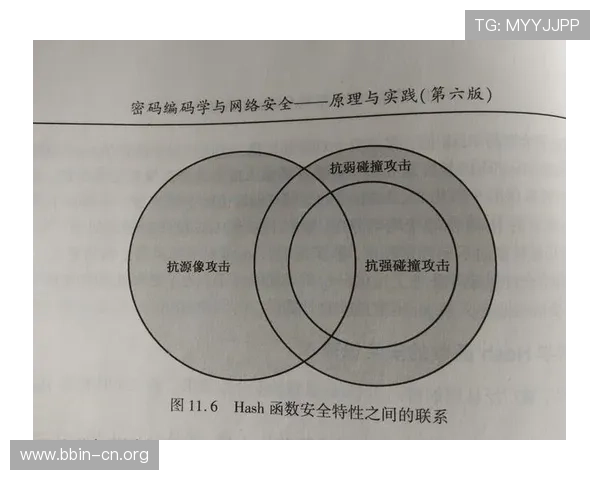基于V2哈希算法的安全性研究与应用前景分析