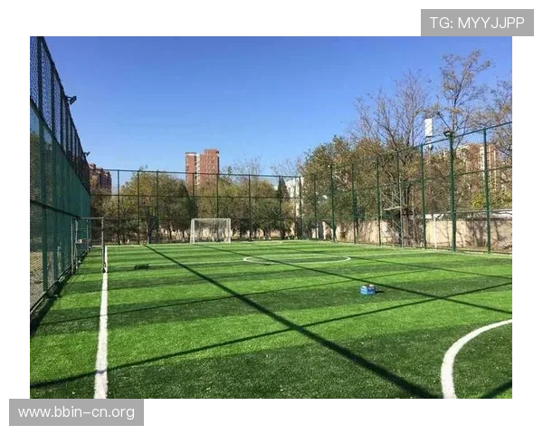 以亚娱体育为核心打造多元化娱乐体育生态发展与未来趋势深度解析