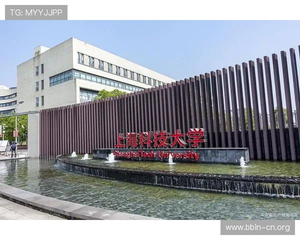 以Y3国际为核心打造的数字化创新商业生态与未来发展全景解析