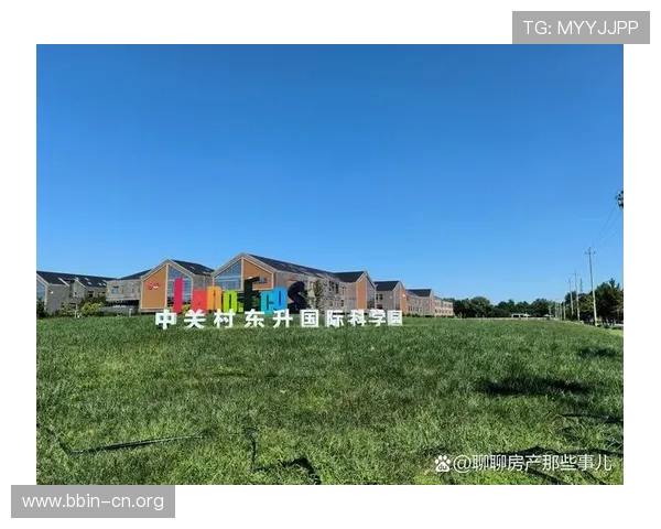 以东升国际为核心打造区域发展新格局与未来价值展望分析研究报告